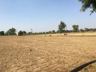 Commercial Land 20 Acre for Sale in Patauda, Jhajjar