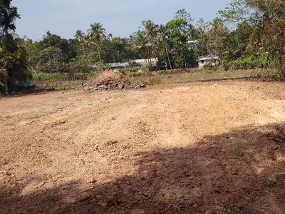 Residential Plot 24 Cent for Sale in Angamaly, Ernakulam