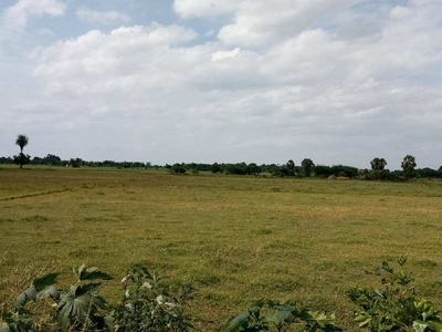 Agricultural Land 25 Acre for Sale in Parandur, Kanchipuram