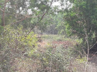 Residential Plot 2700 Sq. Meter for Sale in North Goa