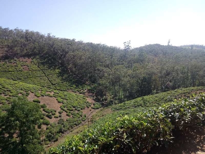Agricultural Land 3000 Acre for Sale in Udhagamandalam, Ooty