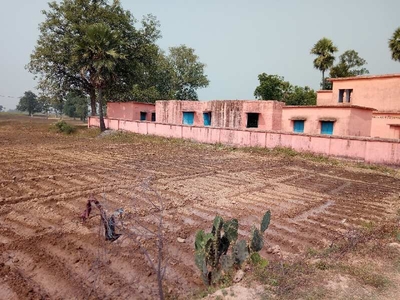 Residential Plot 4000 Sq.ft. for Sale in Bedhna, Deo Aurangabad Bihar