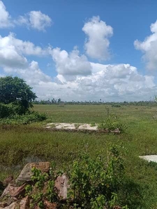Commercial Land 5 Acre for Sale in Sipasarubali, Puri