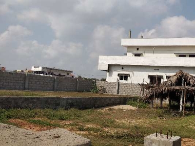 Residential Plot 500 Sq. Yards for Sale in Vakalapudi, Kakinada