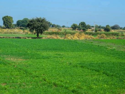 Commercial Land 6 Bigha for Sale in Aonla, Bareilly