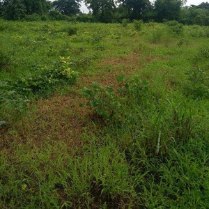 Commercial Land 73700 Sq.ft. for Sale in Dharampur, Valsad