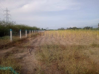 Agricultural Land 789 Acre for Sale in Tenkasi, Tirunelveli