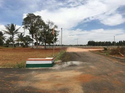 Residential Plot 9 Cent for Sale in Pantheerankavu, Kozhikode