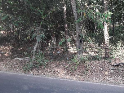 Residential Plot 900 Sq.ft. for Sale in Anjuna, North Goa,
