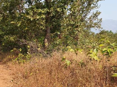 Agricultural Land 13 Acre for Sale in