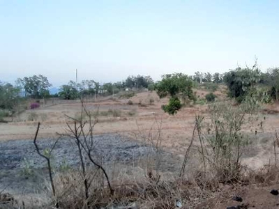 Agricultural Land 11 Acre for Sale in Alibag, Raigad