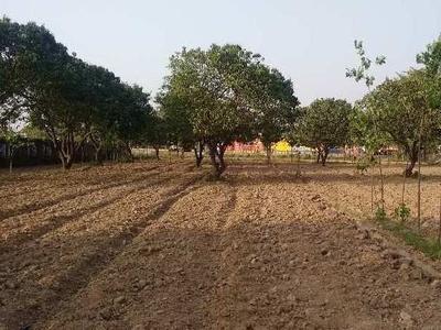 Agricultural Land 600 Sq. Meter for Sale in Transport Nagar, Moradabad