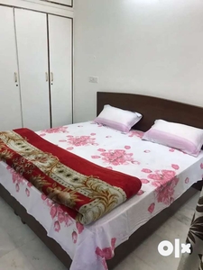 Semi fur 2 room set for working small family in 37, Chandigarh