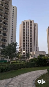 3bhk flat in ats allure Top floor with terrace right ,store room