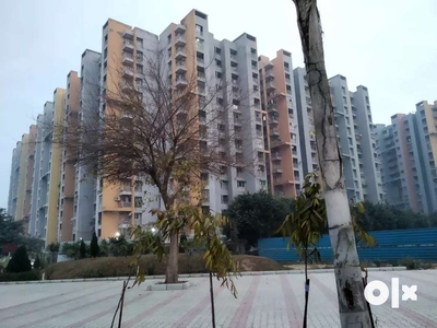 3 BHK flat available for sell in Bharat City Ghaziabad