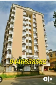 All Type Of 2/3/ BHK Flats And Aprtments