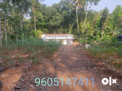 House and plot for sale at Kuttickal, Pampady