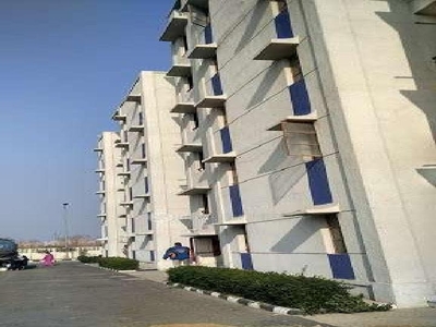 1 BHK Flat In Dda Lig Flats for Rent In Sector 34