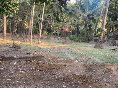 Agriculture Farmhouse Plot In Alibag Nagaon