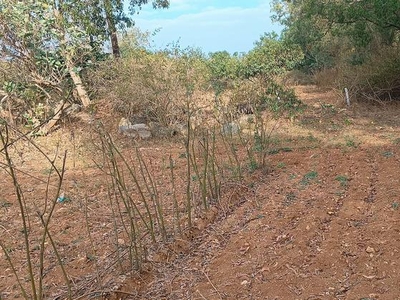 Commercial Land 2 Acre in Hunsur Road Mysore