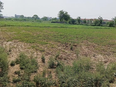 Mitrol Palwal Mai Aggriculture Land