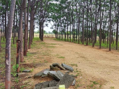 Suvidha Farm Site