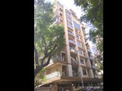 3 Bhk Flat In Bandra West On Rent In Warden Apartment