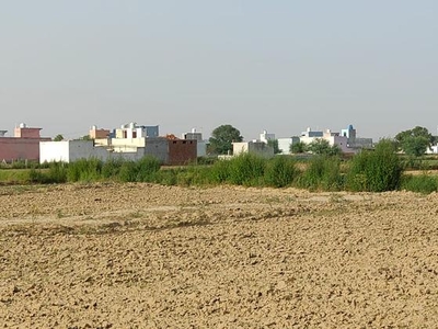 50 Sq.Yd. Plot in Najafgarh Delhi