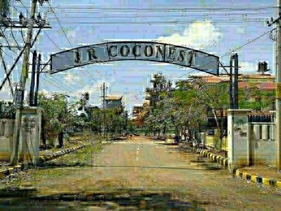 Jr Coconest Marsur