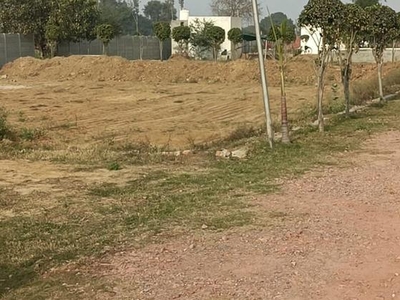 Plot For Sale In Sohna Location So Go And Buy Now