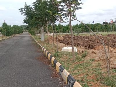 Plots For Sale Near By Pharmacy City In Kadthal