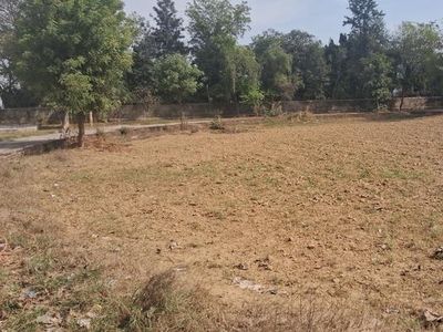 Sector 72a Plot For Sale