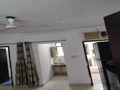 450 sq ft 1RK 1T IndependentHouse for rent in DLF Phase 3 at Sector 24, Gurgaon by Agent seller