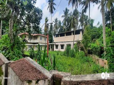 115 cent land and old house in ayyanthole 8L p cent