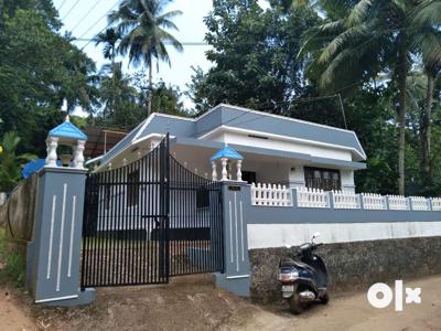 Kozhikode Chelannur 10.25 Cent with House For Sale
