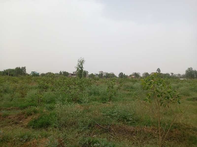 13 Acre Agricultural Land for Sale in Palwal, Faridabad