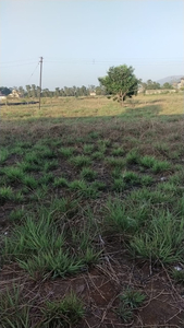 Agricultural Land 20000 Sq.ft. for Rent in