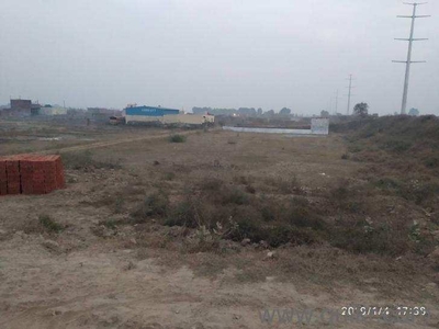 Agricultural Land 3 Acre for Sale in Hasanpur,