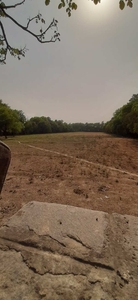 Agricultural Land 3 Acre for Sale in Paprawat,