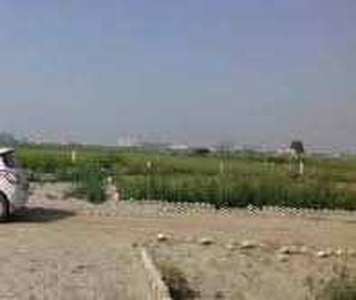 Agricultural Land 4 Acre for Sale in Najafgarh, Delhi