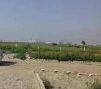 Agricultural Land 4 Acre for Sale in Shahbad Daulatpur, Delhi