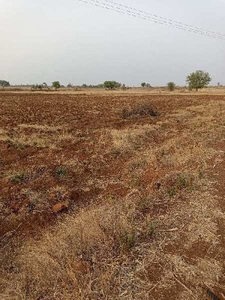 Agricultural Land 45 Acre for Sale in Humnabad, Bidar