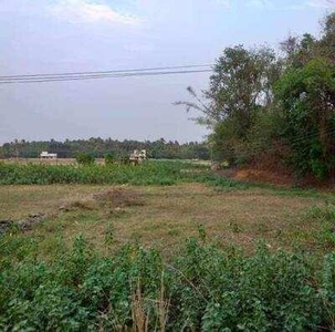 5 Cent Residential Plot for Sale in Chandranagar Colony, Palakkad
