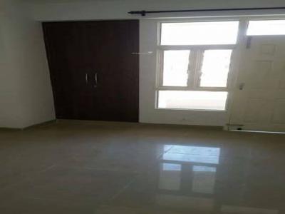 1150 sq ft 2 BHK Apartment for rent in Sai Niwas at Sector 73, Noida by Agent New Homes Realty