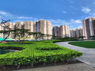 930 sq ft 2 BHK 2T Apartment for rent in Supertech Cape Town at Sector 74, Noida by Agent New Homes Realty