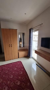 1 BHK Flat for rent in Sector 137, Noida - 555 Sqft