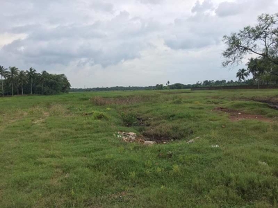 Agricultural Land 100 Acre for Sale in Deulti, Howrah