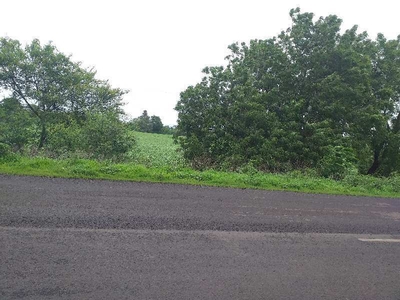 Agricultural Land 11 Bigha for Sale in Mhow Road, Indore