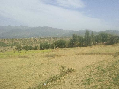 Agricultural Land 1200 Sq. Yards for Sale in Morni, Panchkula