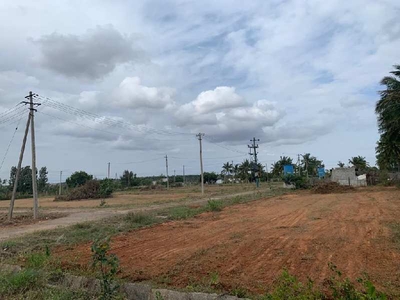Residential Plot 1200 Sq.ft. for Sale in Nelamangala, Bangalore